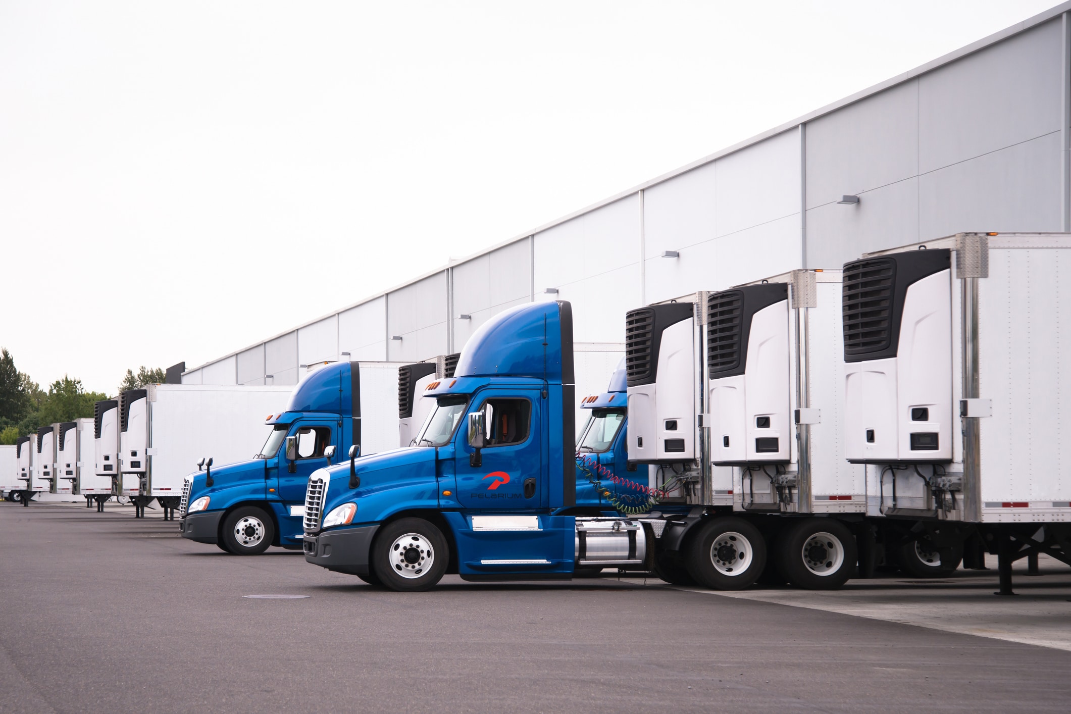 Refrigerated Trucking